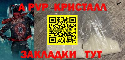 Альфа ПВП Малгобек