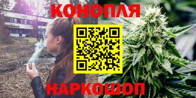 Альфа ПВП Малгобек