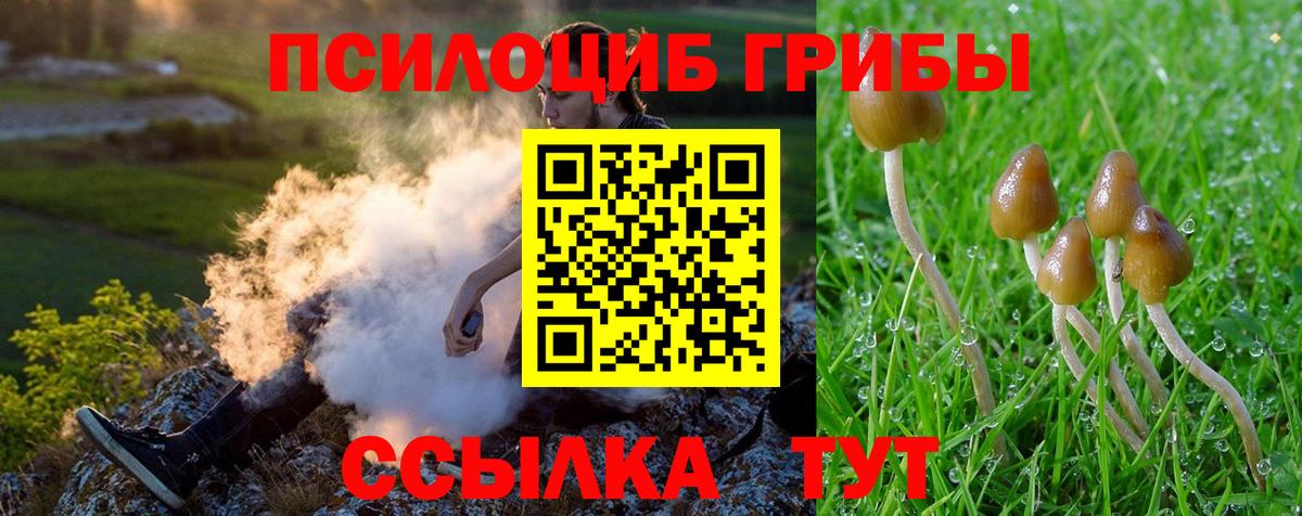 Псилоцибиновые грибы Magic Shrooms  Псилоцибиновые грибы Magic Shrooms  наркота  Вход с VPN  Ялта 