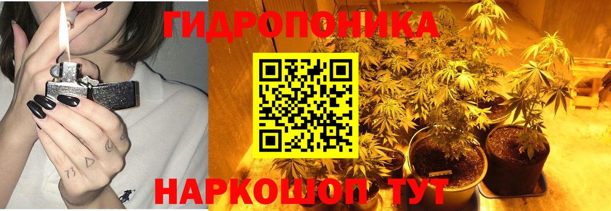 Бошки Шишки планчик Ялта